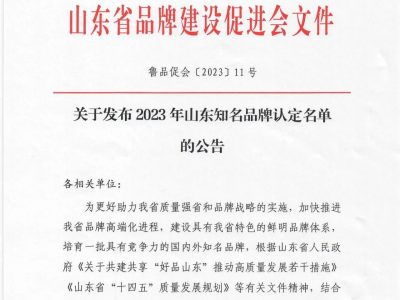 上榜！九游会ag(中国区)官方网站入选“山东知名品牌”！